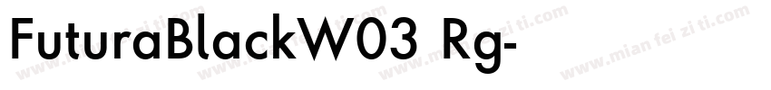 FuturaBlackW03 Rg字体转换